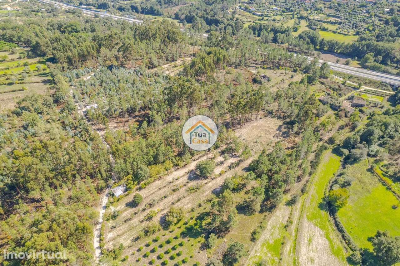 Terreno Rústico em Mangualde - Grande imagem: 2/18