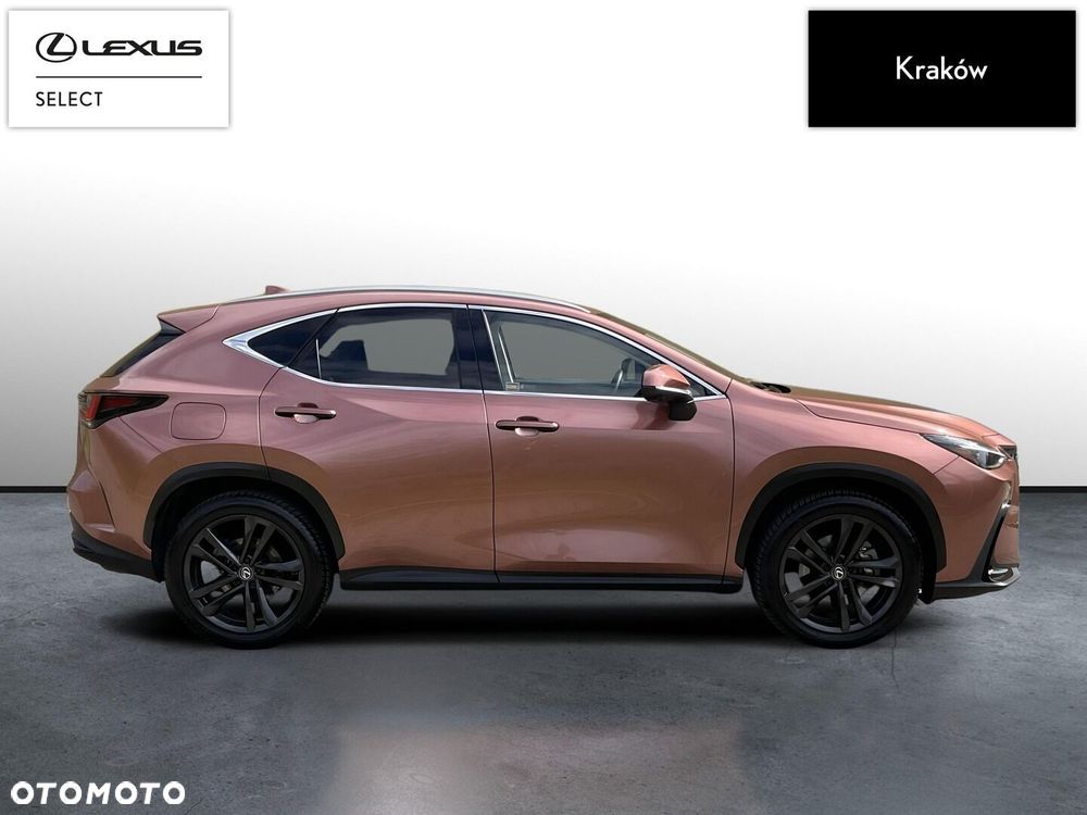 Lexus NX - 6