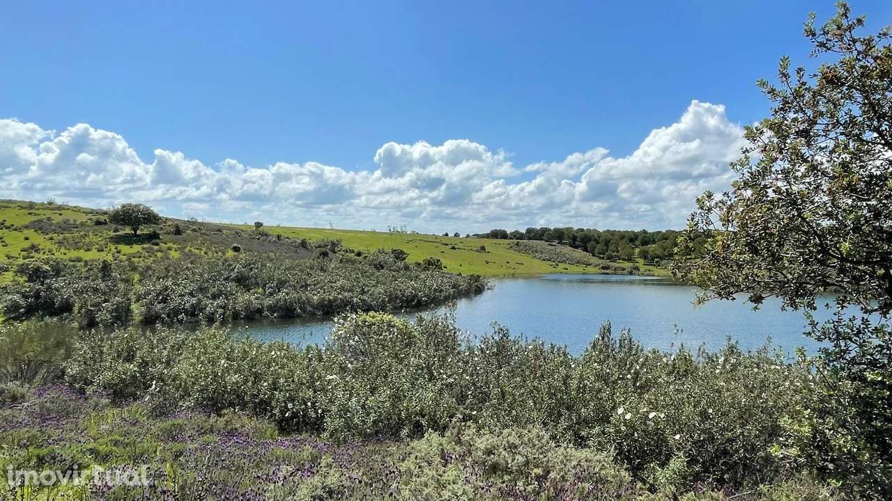 Terreno na Margem Alqueva - Grande imagem: 5/26