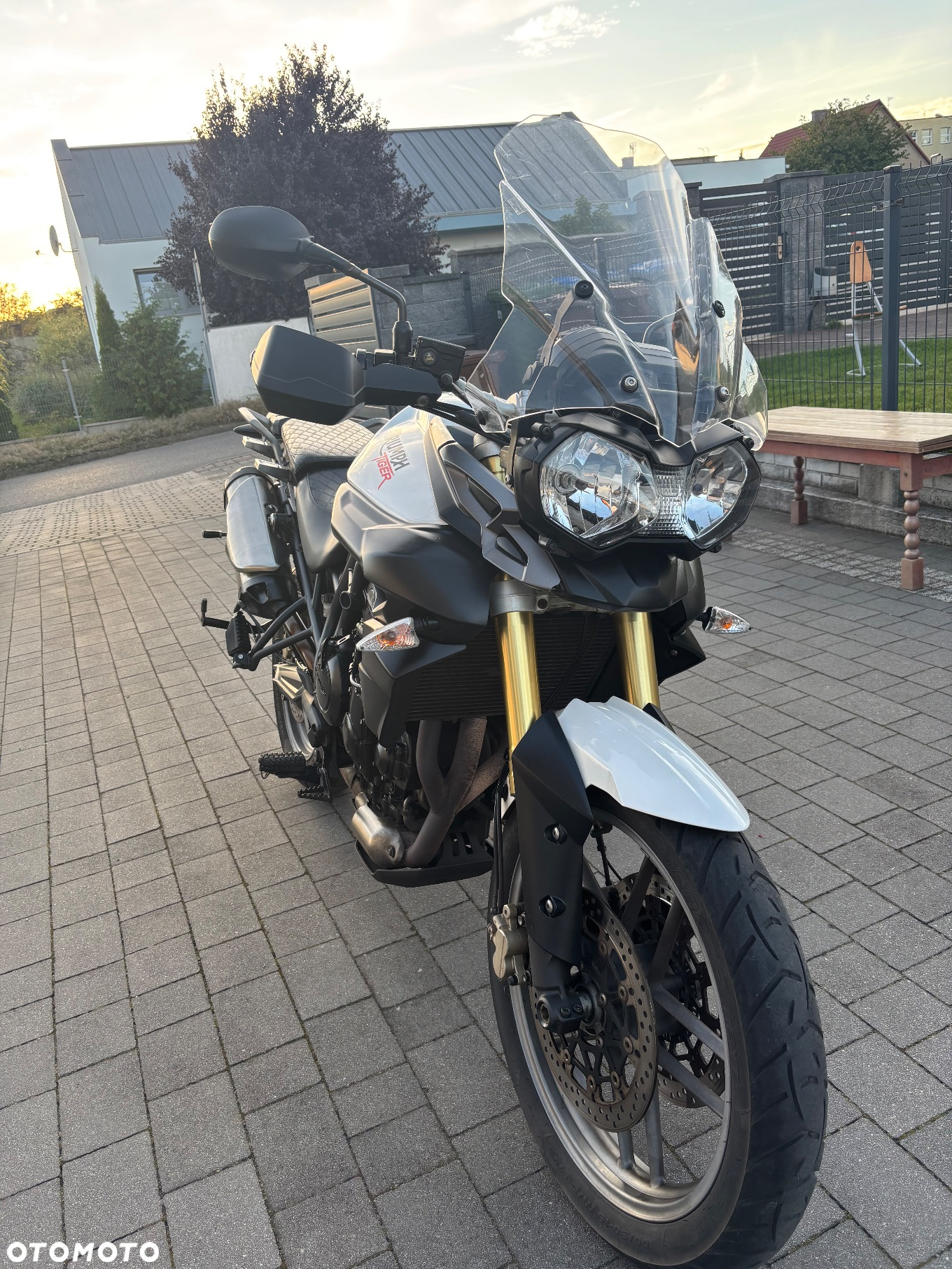 Triumph Tiger - 23