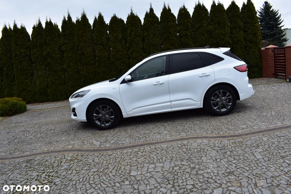 Ford Kuga 1.5 EcoBlue ST-LINE - 3