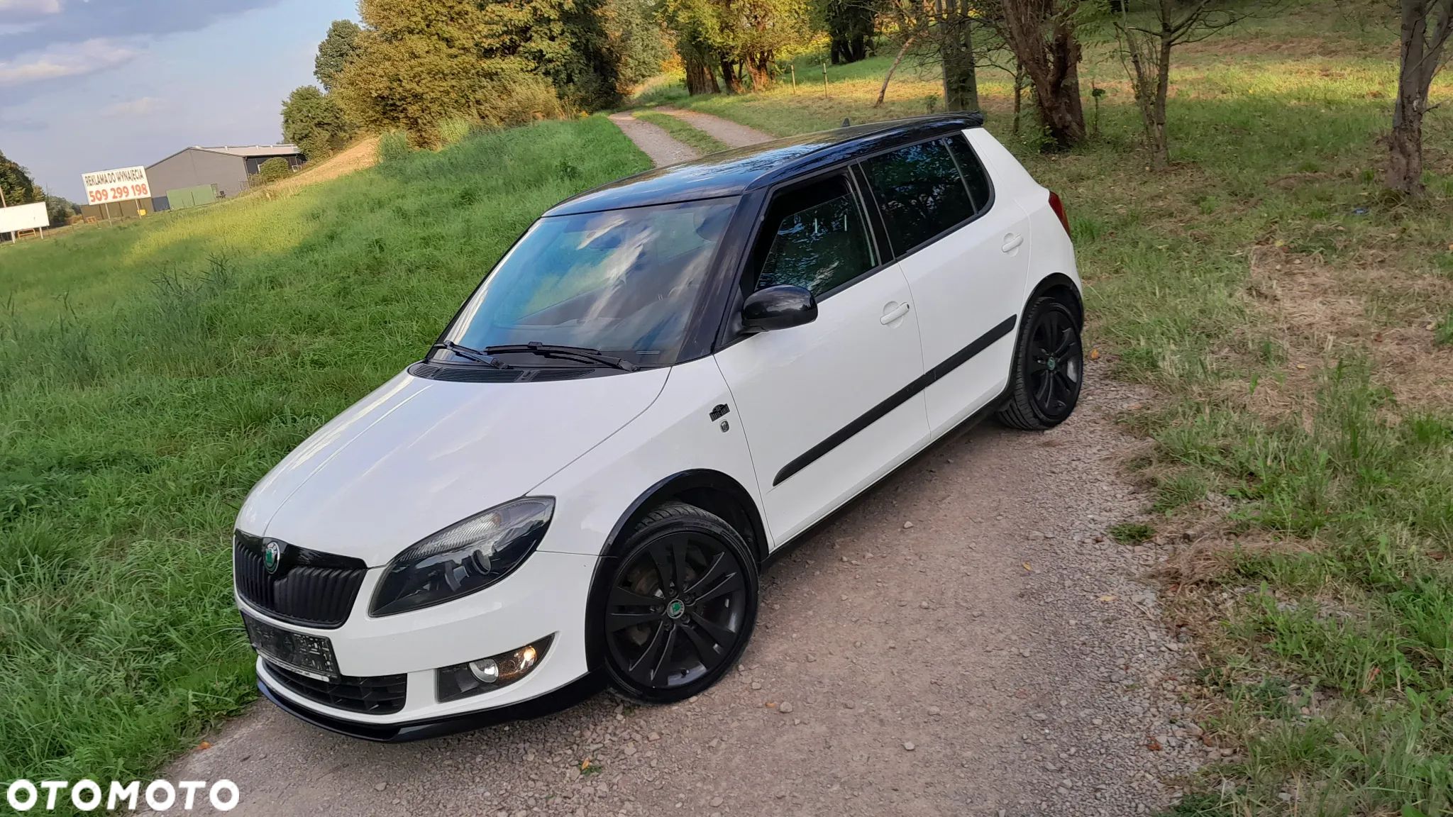 Skoda Fabia - 1
