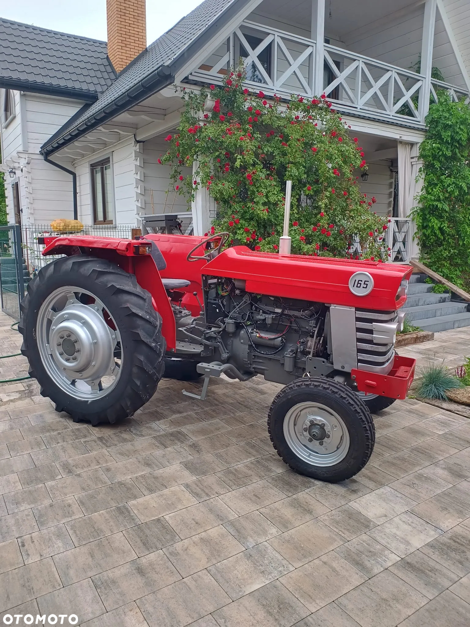 Massey Ferguson - 6