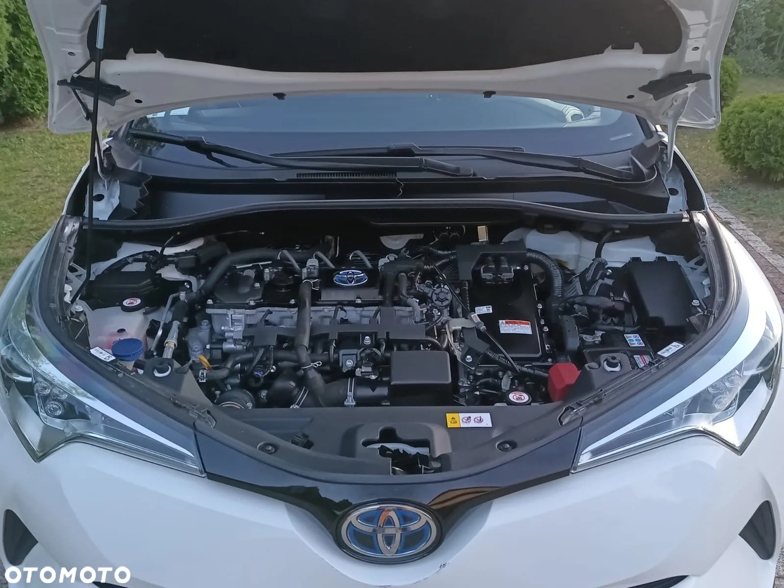 Toyota C-HR - 11