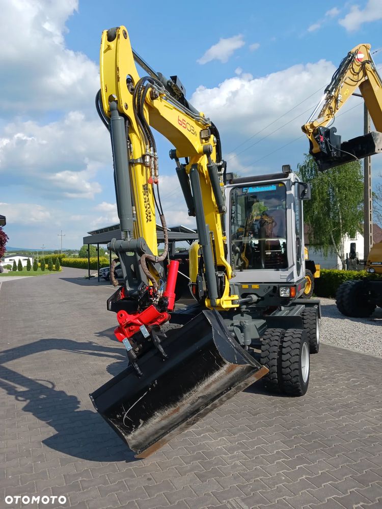 Wacker Neuson 6503 - 8
