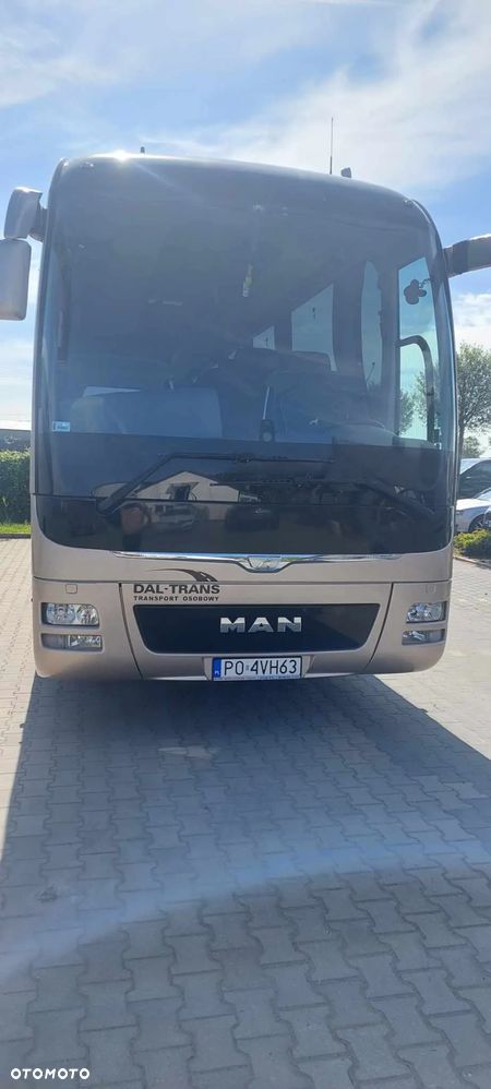 MAN LIONS Coach - 2