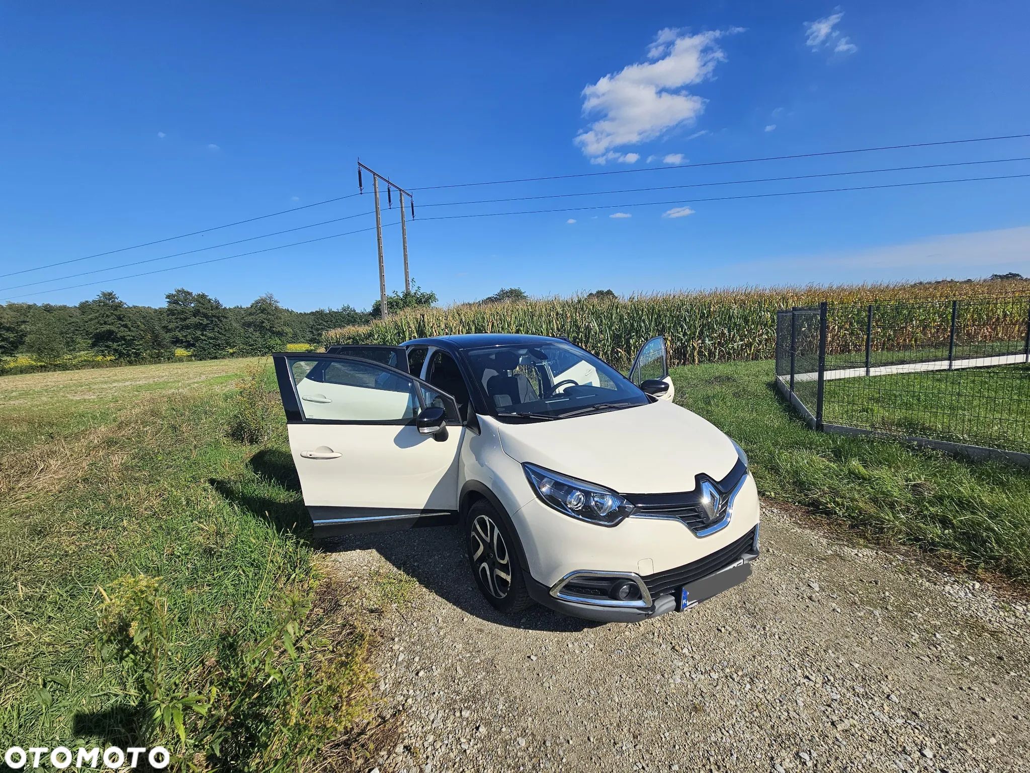 Renault Captur - 1