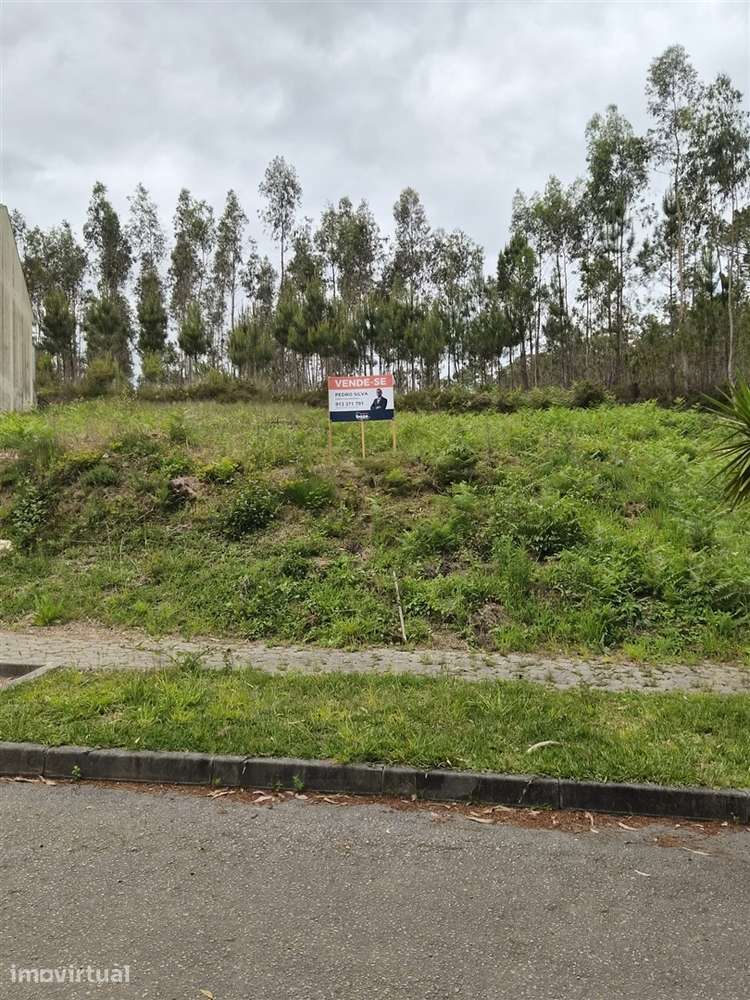 Loteamento  Venda em Macieira de Sarnes,Oliveira de Azeméis - Grande imagem: 2/4