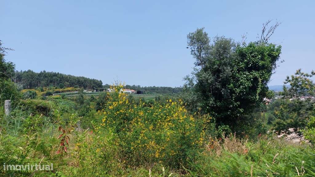 Quinta - Vila Verde - Grande imagem: 5/14