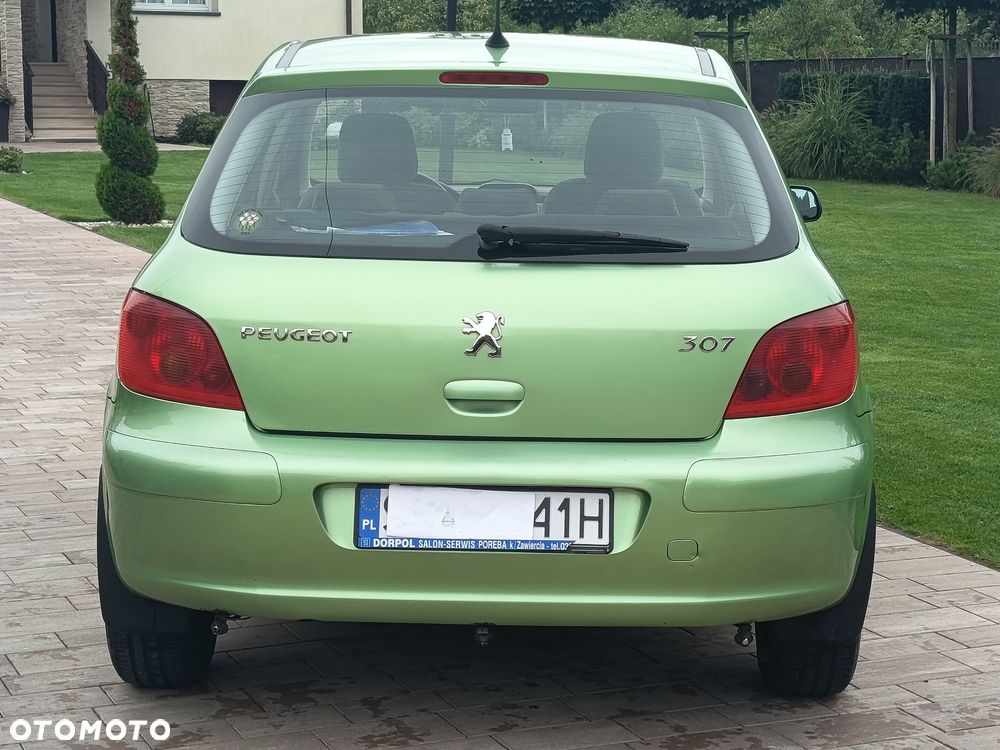Peugeot 307 - 6