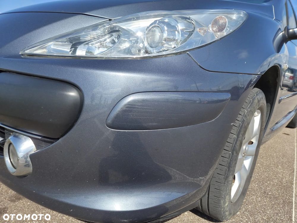 Peugeot 307 1.6 Oxygo - 14