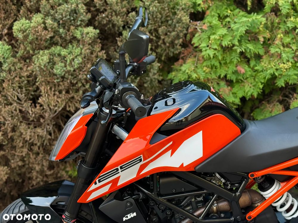 KTM Duke - 25