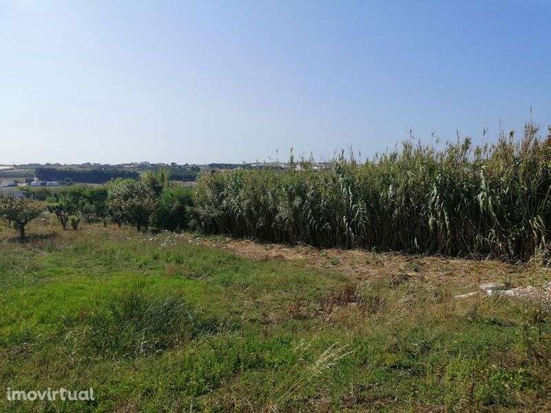 Terreno entre a cidade e as praias com 3720m2 - Grande imagem: 5/34