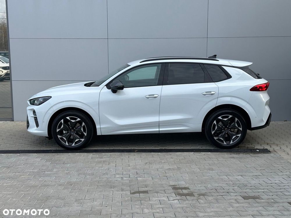 Cupra Terramar - 9