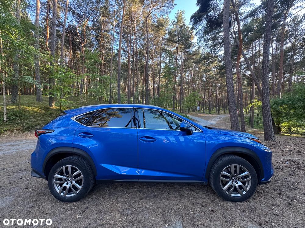 Lexus NX 300 Elegance AWD - 9