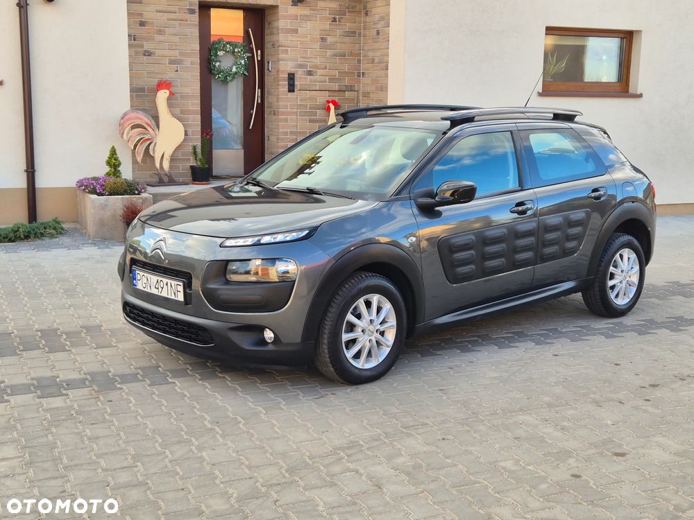 Citroën C4 Cactus 1.6 Blue HDi Live - 13