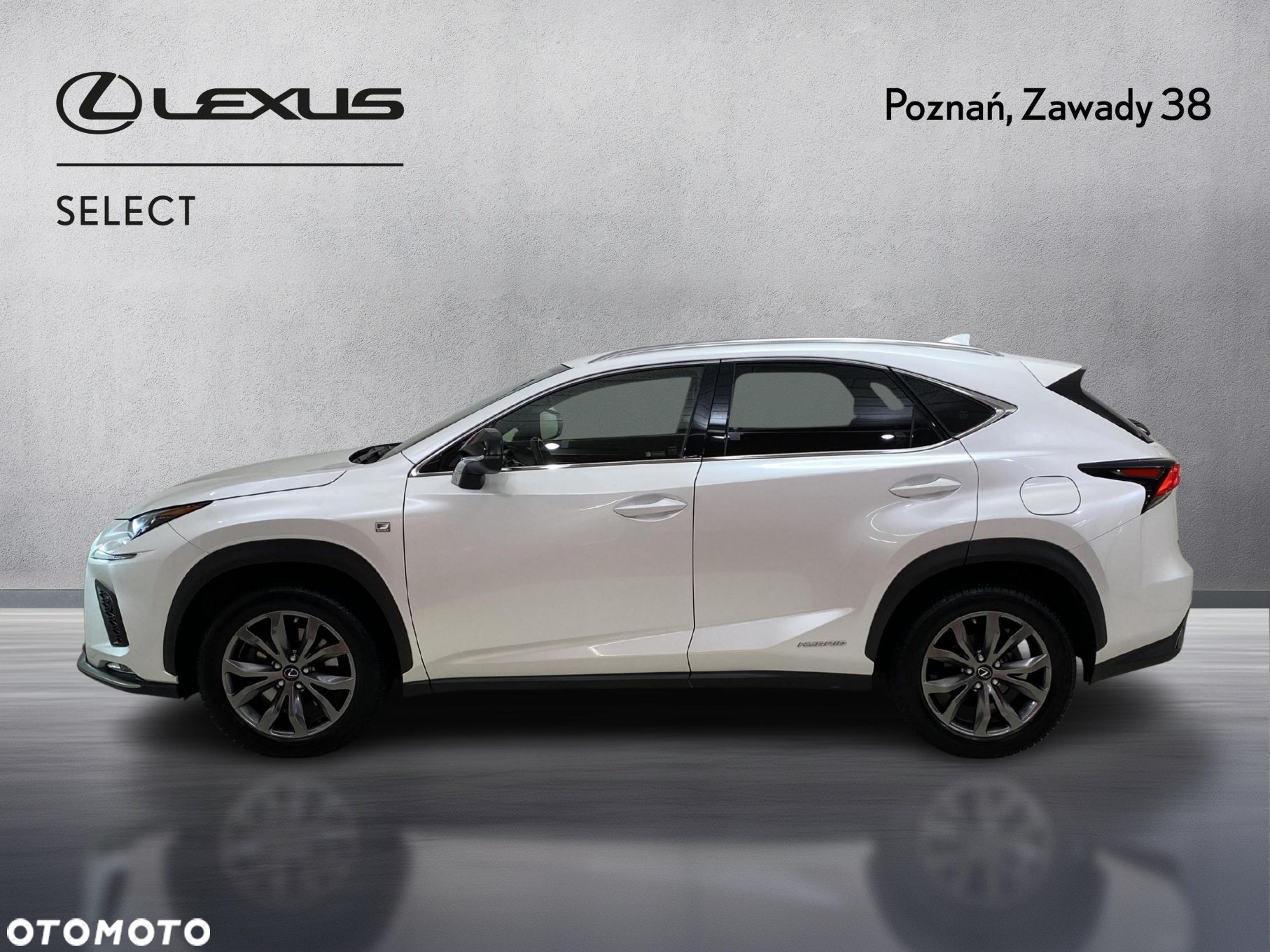 Lexus NX 300h F Sport Edition AWD - 7