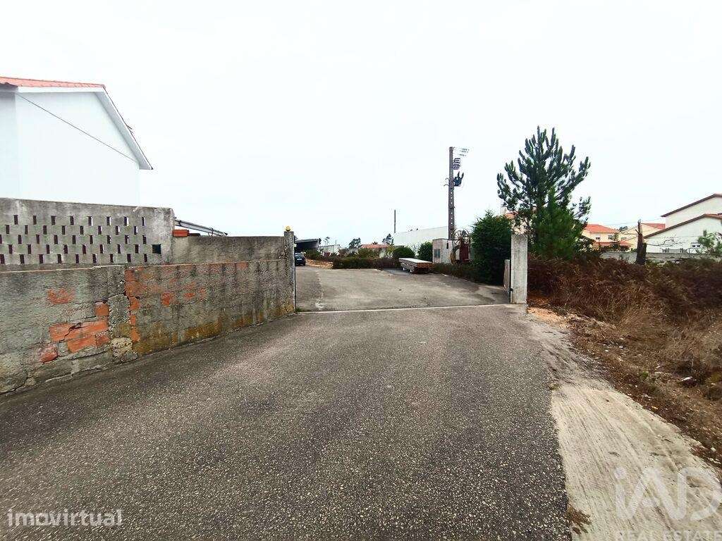 Terreno industrial em Vieira de Leiria - Grande imagem: 3/31