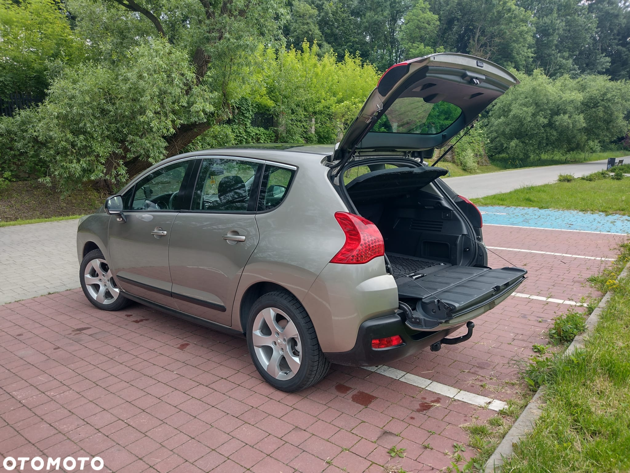 Peugeot 3008 1.6 Premium - 21