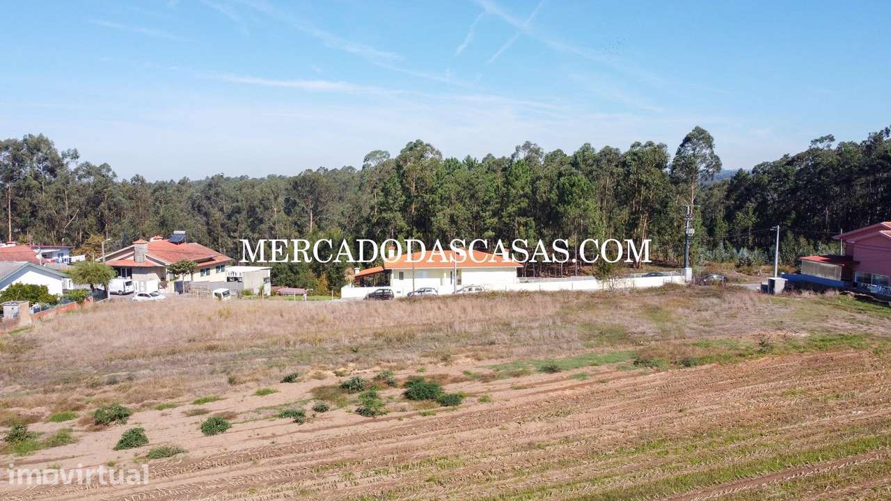 Terreno c/ 16,560m2 - São Miguel de Souto - Grande imagem: 5/14