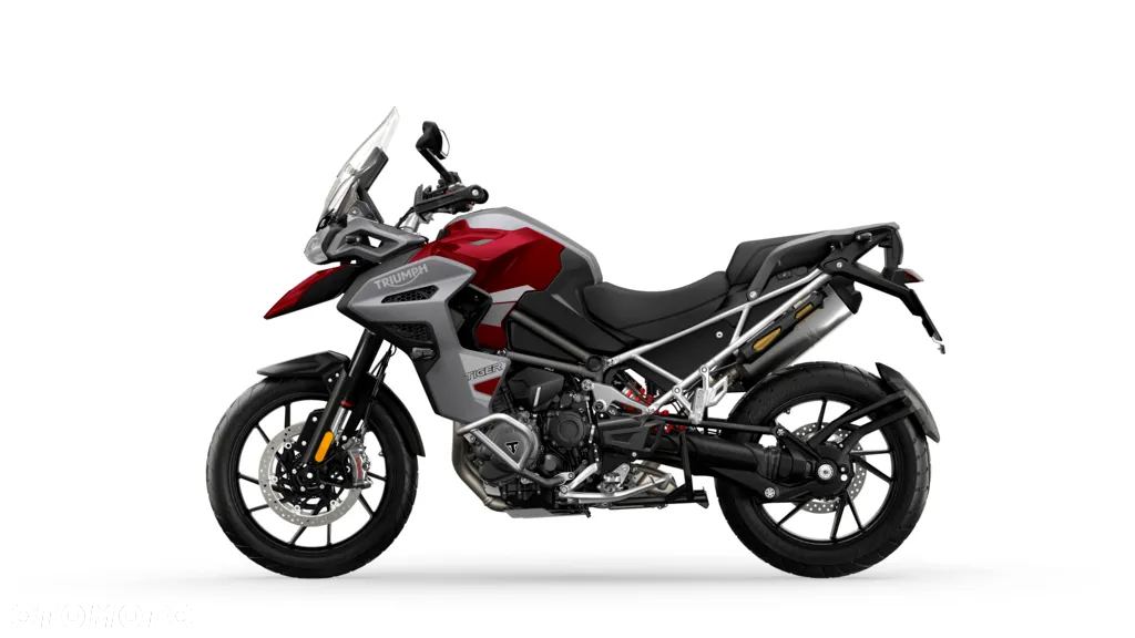 Triumph Tiger - 17