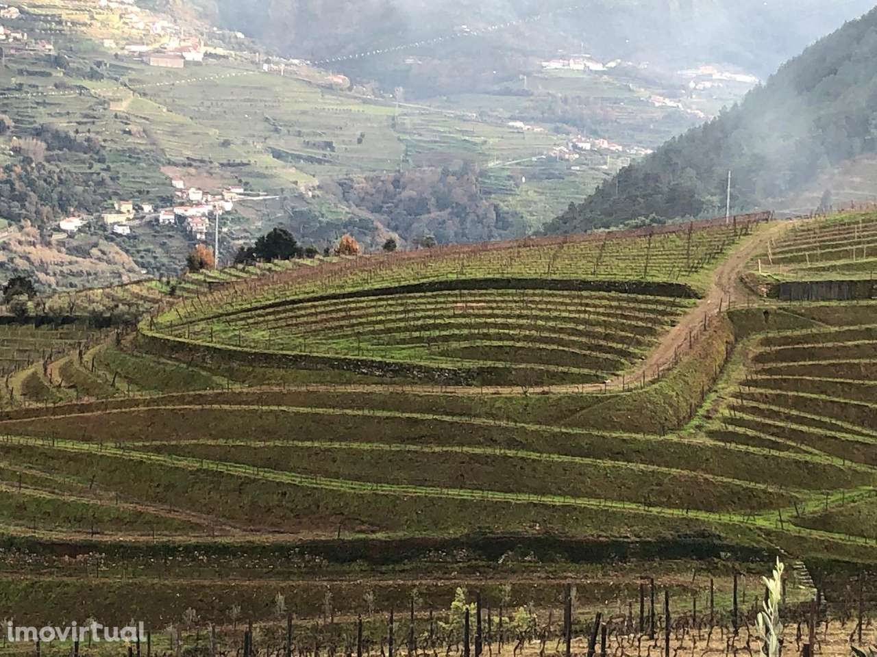 Venda de Quinta - Vistas do rio Douro - Grande imagem: 3/11