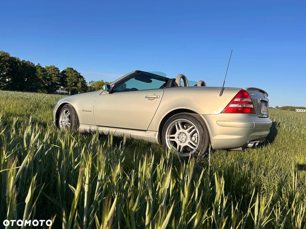 Mercedes-Benz SLK 55 AMG - 3
