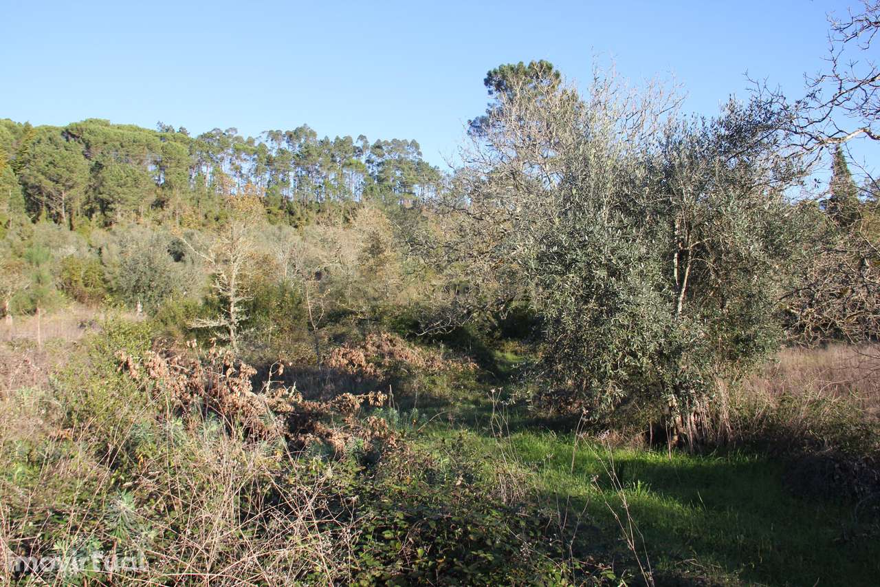 Terreno para construção de moradia - Grande imagem: 4/9