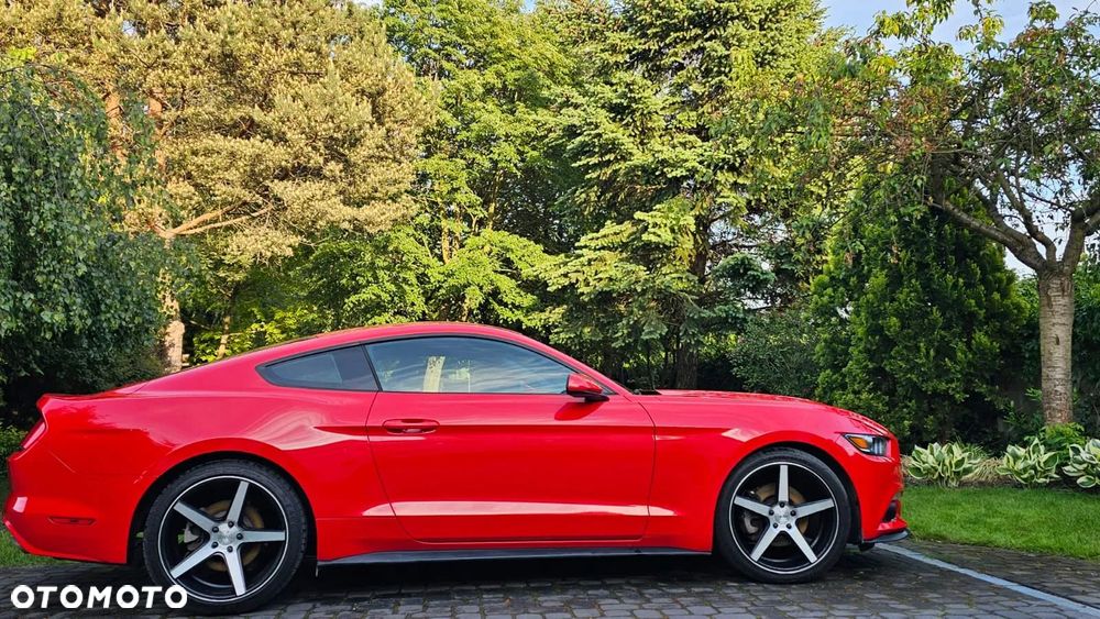 Ford Mustang 3.7 V6 - 10