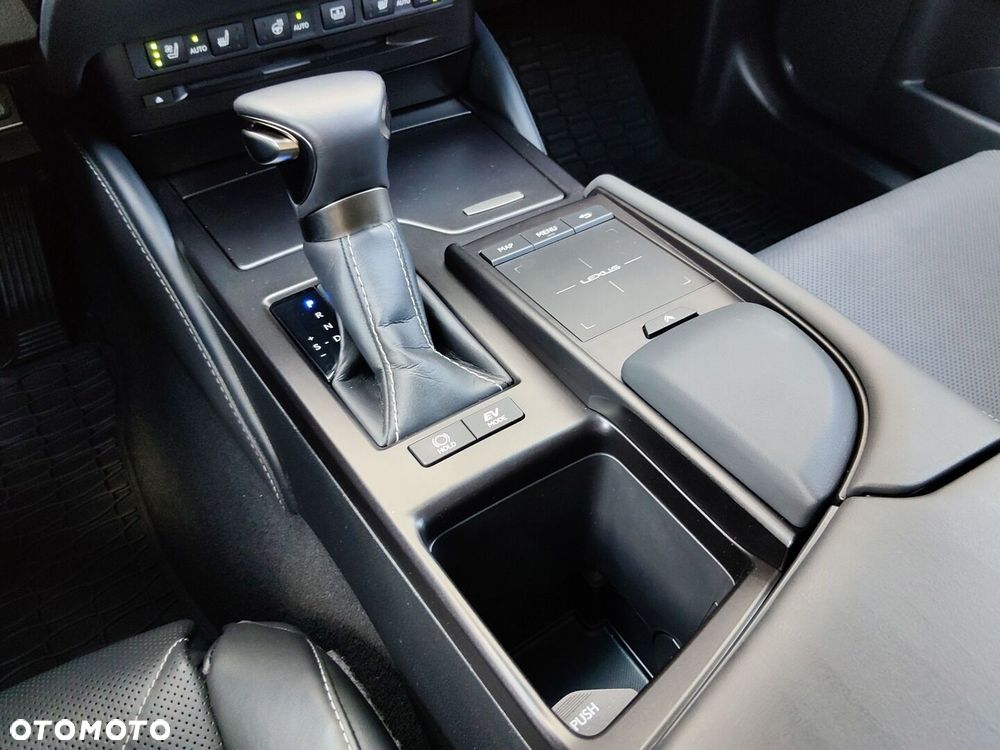 Lexus ES 300h Omotenashi - 28