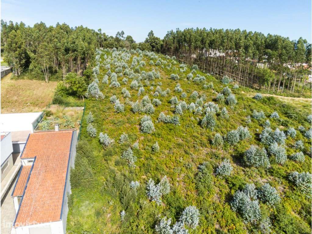 Terreno com área de 7706m2, para construção de 14 moradias em Nogue... - Grande imagem: 4/15