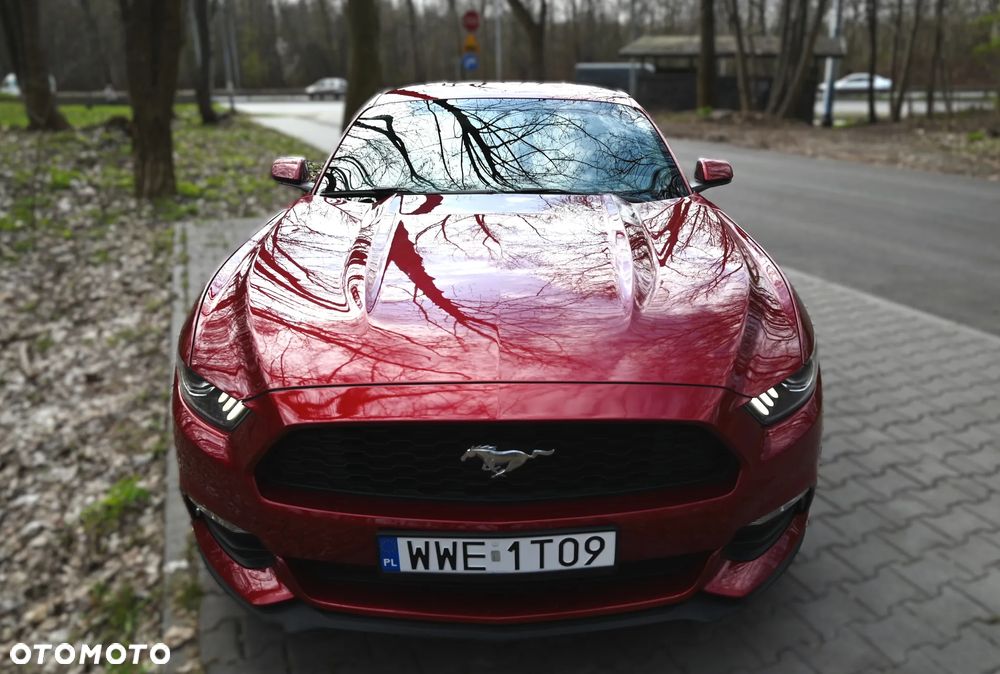 Ford Mustang - 6
