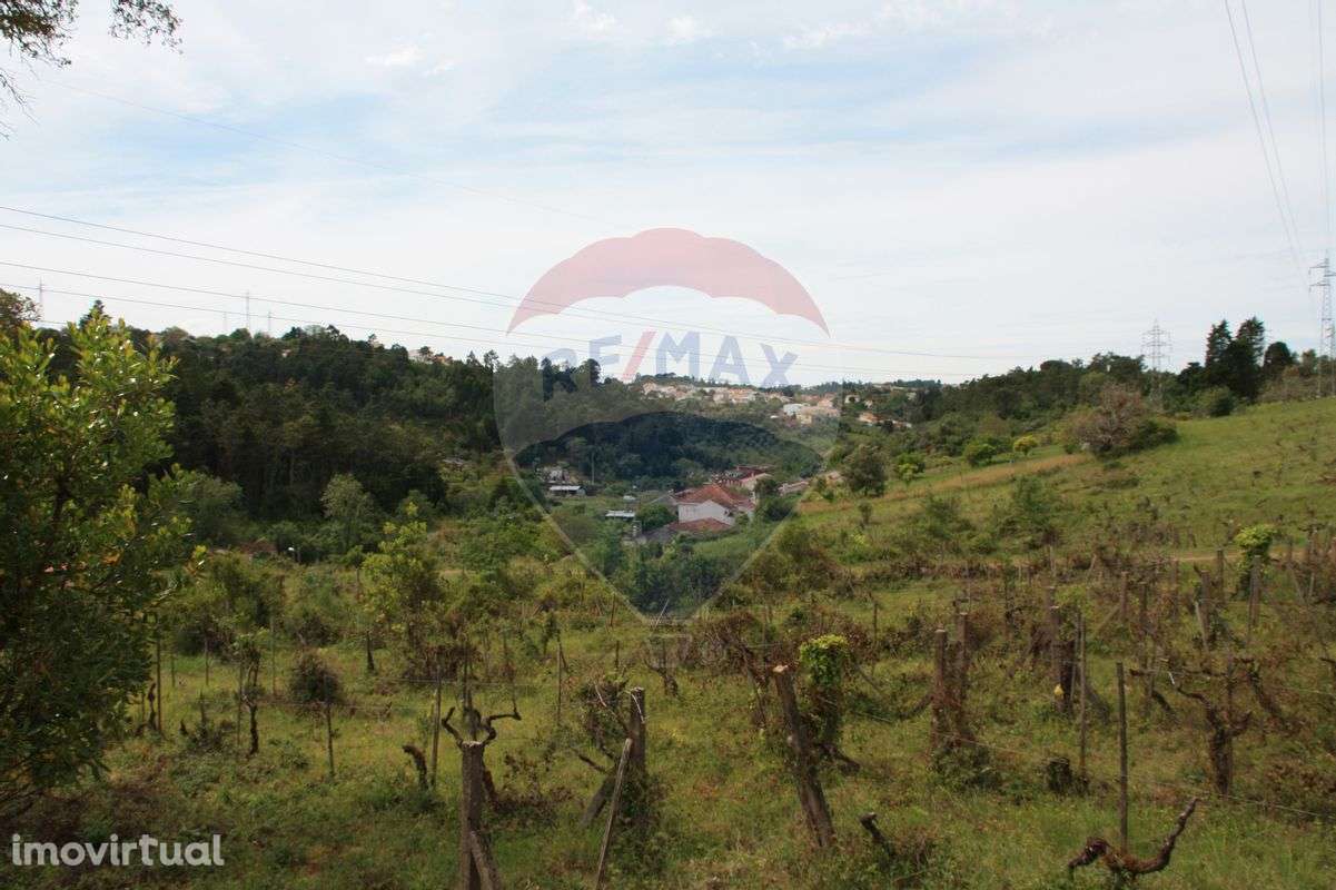 Terreno  para venda - Grande imagem: 4/15