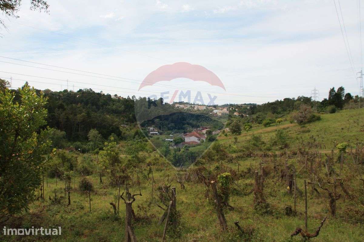 Terreno  para venda - Grande imagem: 4/15