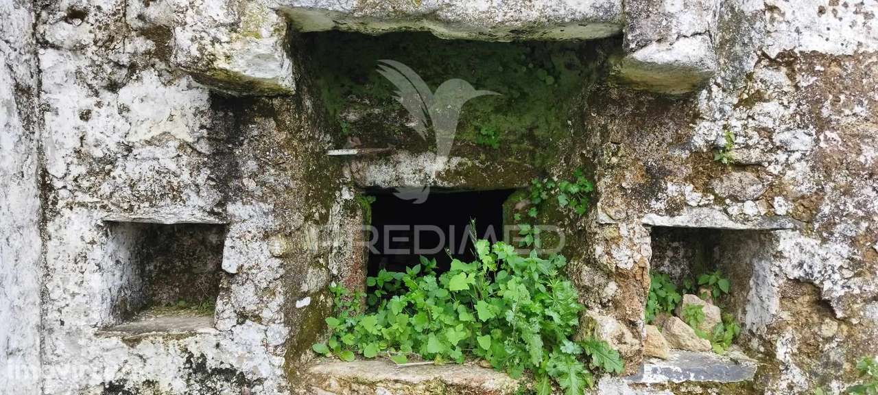 Quinta agrícola em Marvão - Grande imagem: 3/21