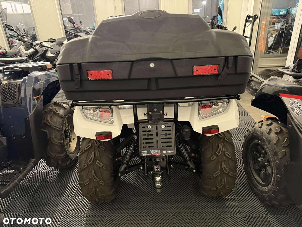 Kawasaki Brute Force - 6
