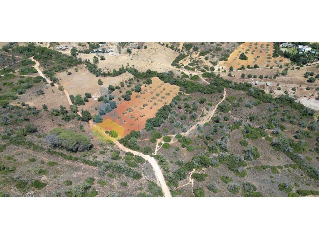 Terreno rustico perto Vila Pera - Grande imagem: 4/5