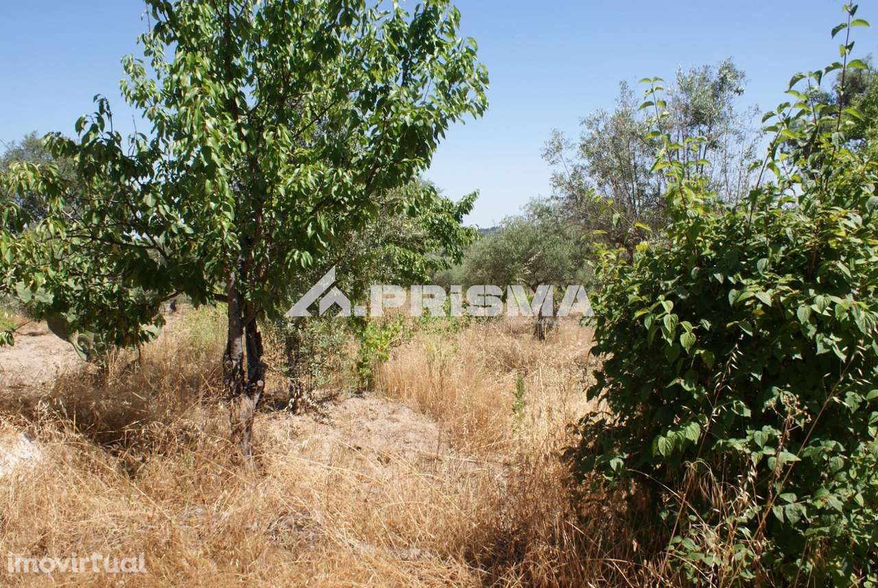 Terreno Rústico para Venda no Ninho do Açor - Grande imagem: 4/43