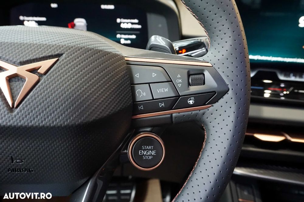 Cupra Terramar - 18