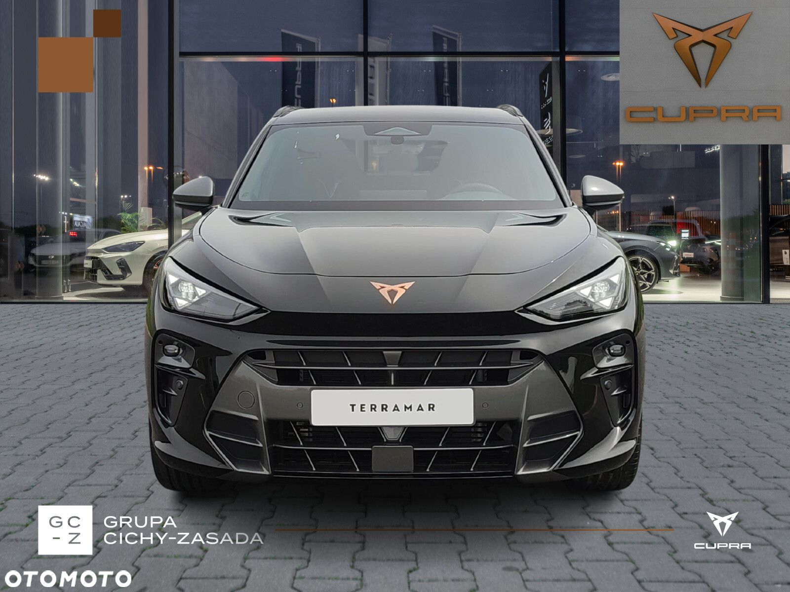 Cupra Terramar - 8