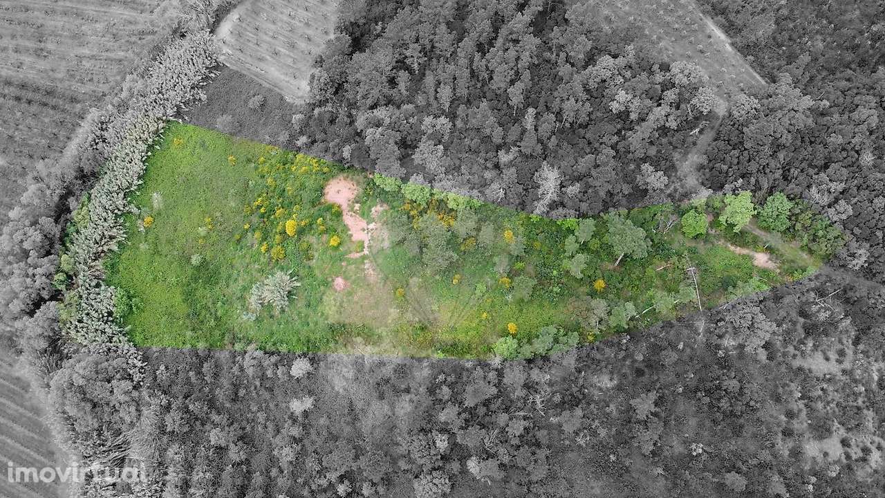 Terreno  para venda - Grande imagem: 3/16