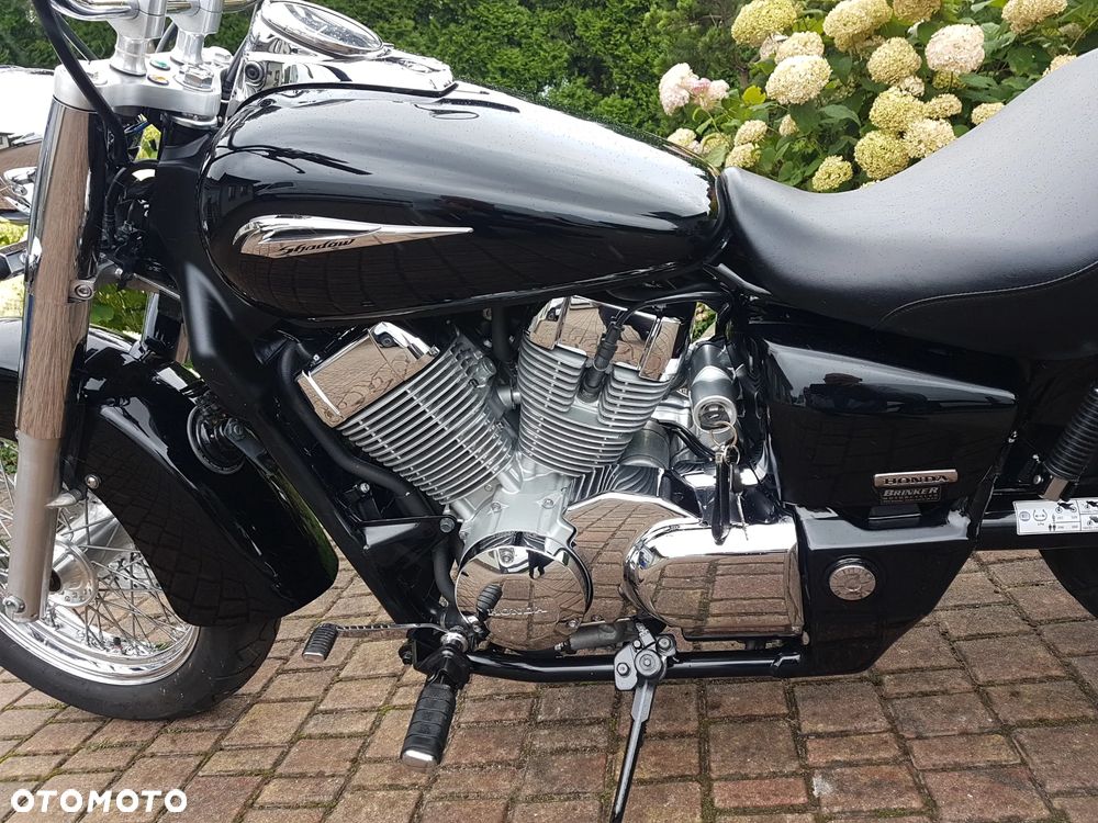 Honda Shadow - 8