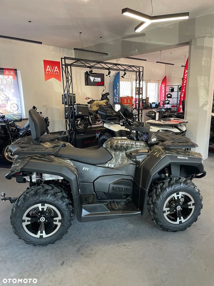 HISUN Guardian 550 - 11