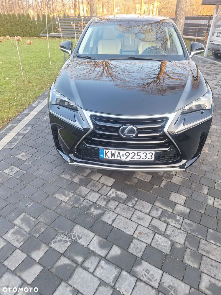 Lexus NX 300h Prestige AWD - 25