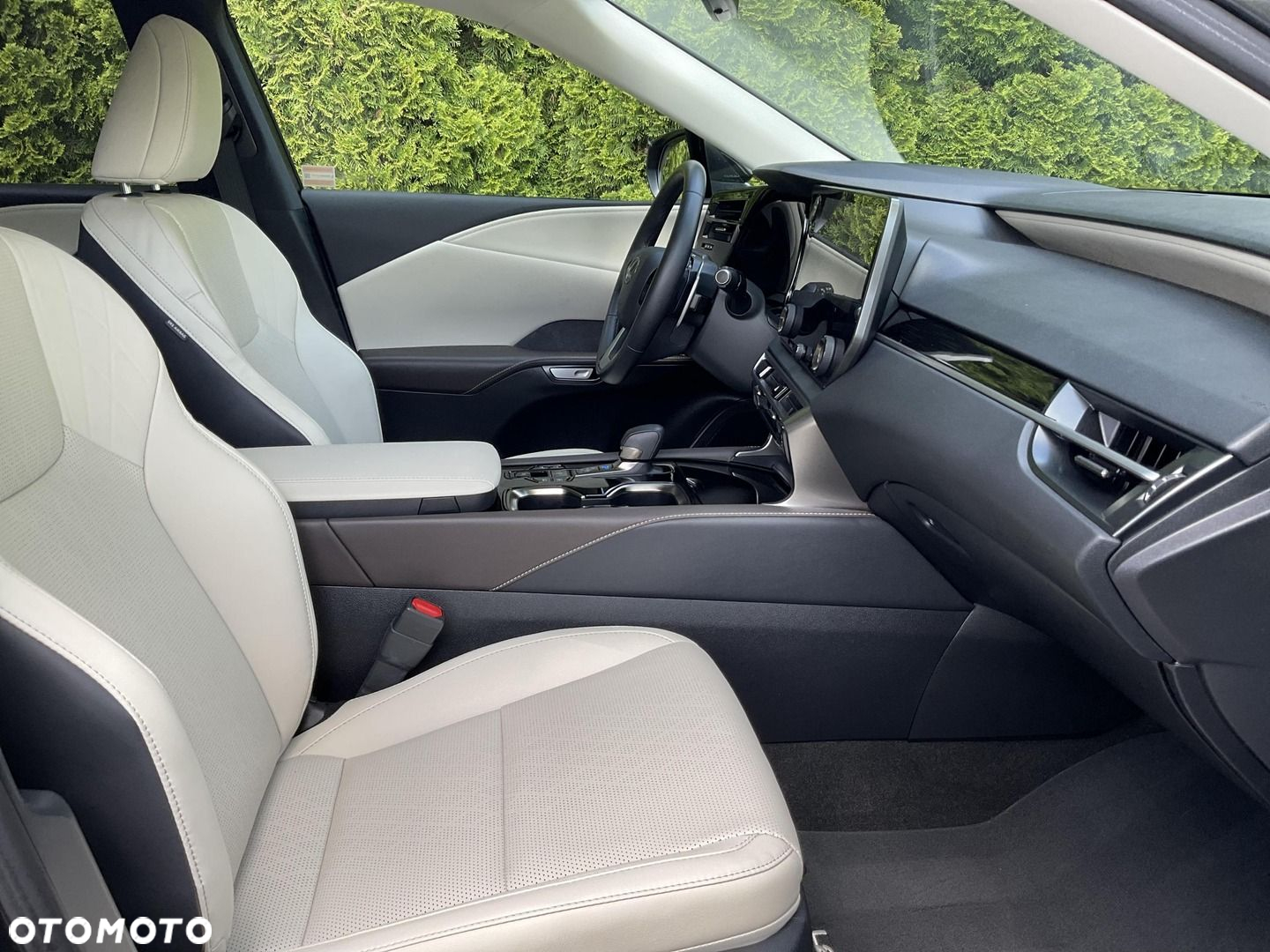 Lexus RX 450h+ Prestige - 26