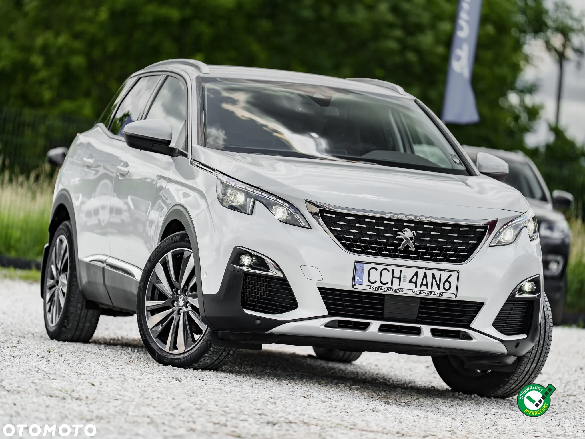 Peugeot 3008 1.5 BlueHDi Allure Pack S&S - 3