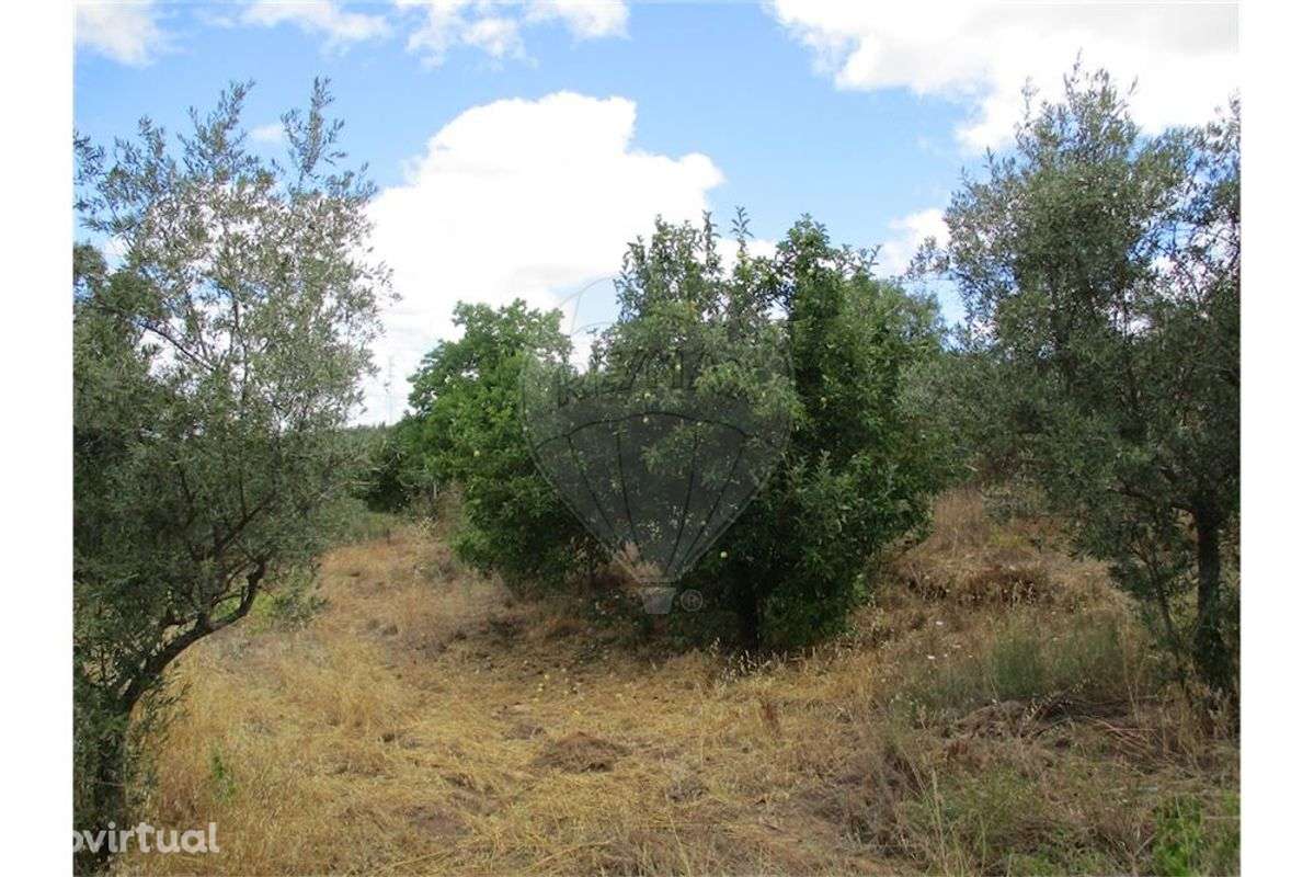 Quinta T0 para venda - Grande imagem: 4/22