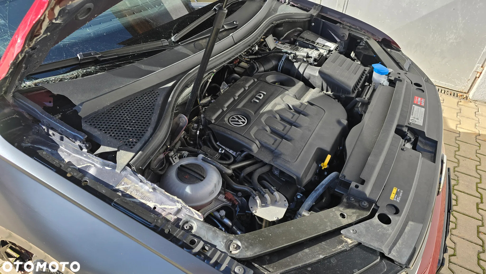 Volkswagen Tiguan - 24