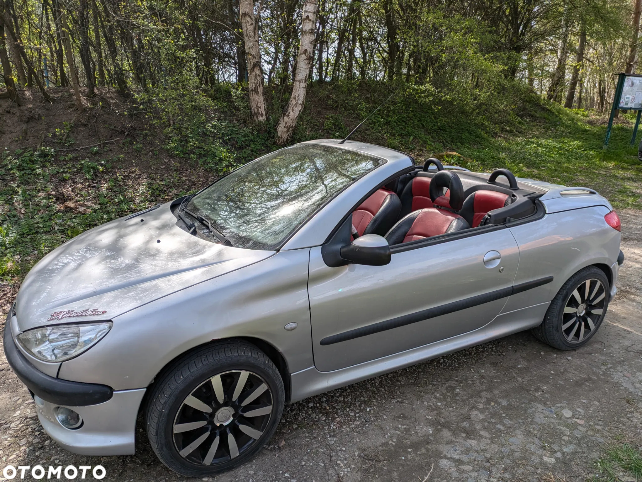 Peugeot 206 2.0 S16 - 4
