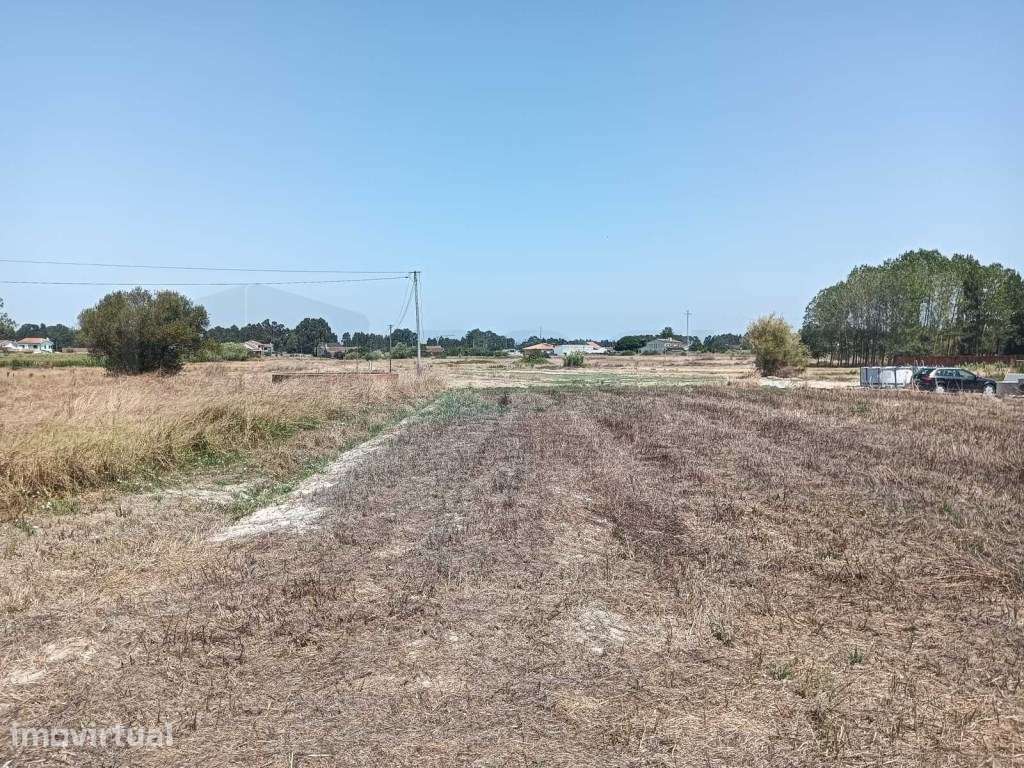 Terreno para construção com 20m de frente -FABULOSO - Grande imagem: 3/17